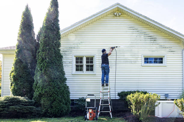 Best Vinyl Siding Pressure Washing in Epworth, IA